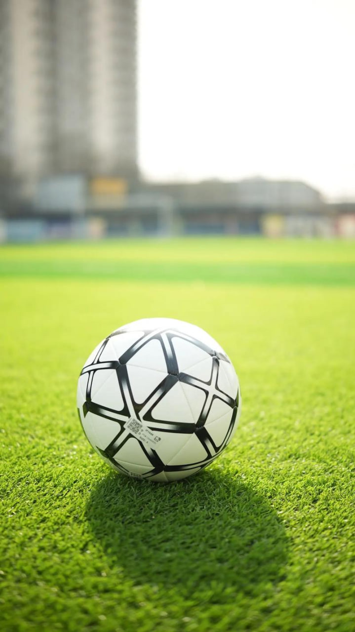 雷速体育设置页面