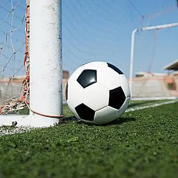 雷速体育个人中心入口